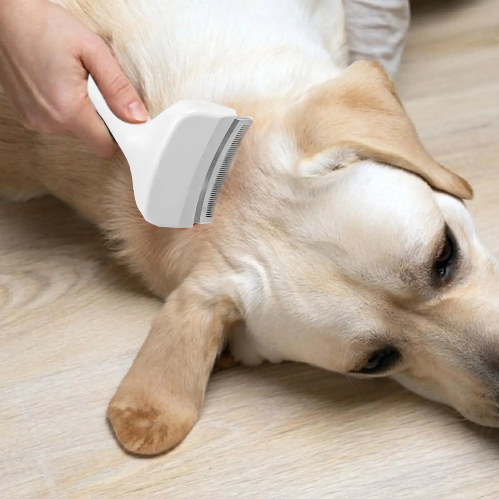 Щетка-расческа для собак и кош – обзор и цена Undercoat Rake Dematting Tool Dog Shedding