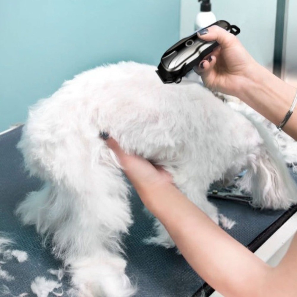 Универсальная USB-заряжаемая э – обзор и цена Cordless Dog Clippers Low Noise Grooming